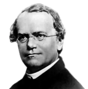 Portrait of Gregor Mendel (1822-1884), the founder of modern genetics born near Ostrava